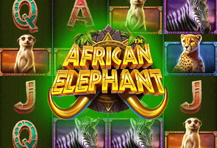 Ваш доступ к мобильным играм CasinoName: слоты, live казино и щедрые бонусы.